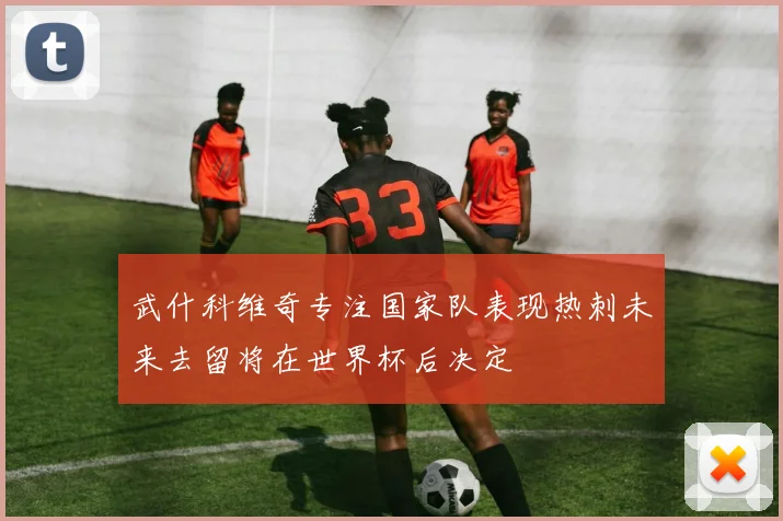武什科维奇专注国家队表现热刺未来去留将在世界杯后决定
